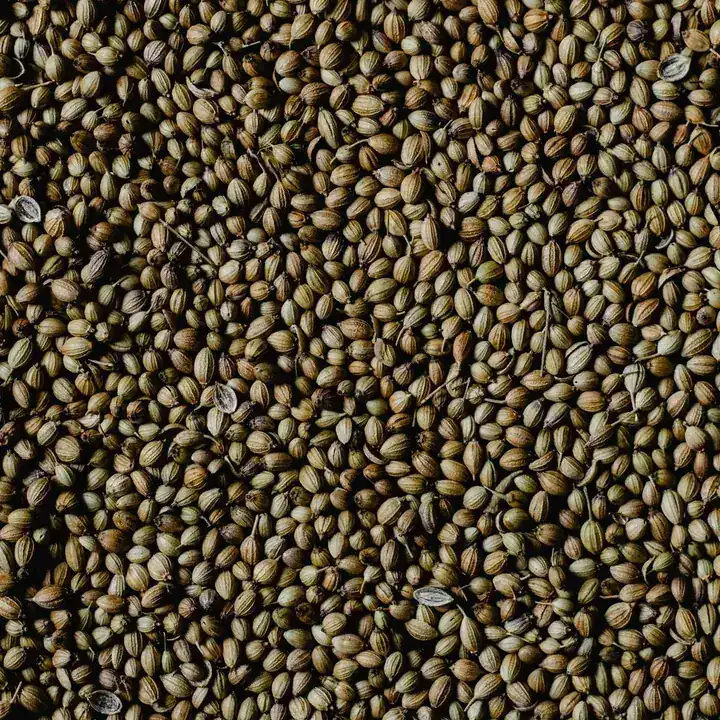 Semillas pequeñas